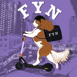 Fyn 아이콘